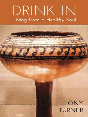 cover image of Drink In